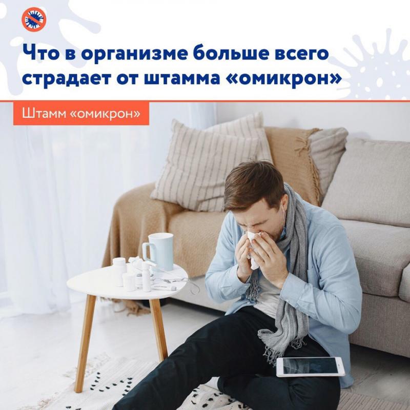 Что в организме больше всего страдает от штамма "омикрон"